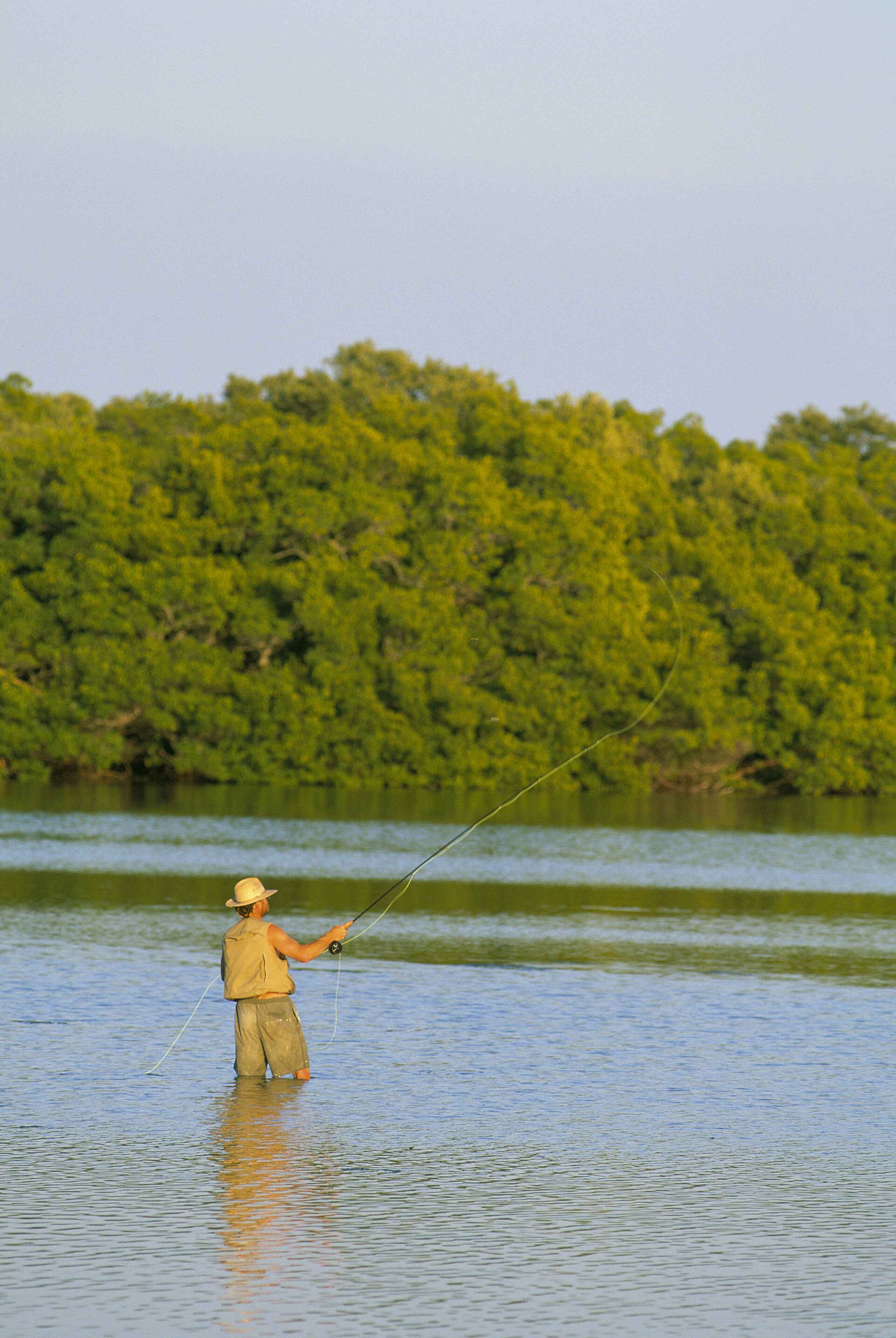 Man fly fishing