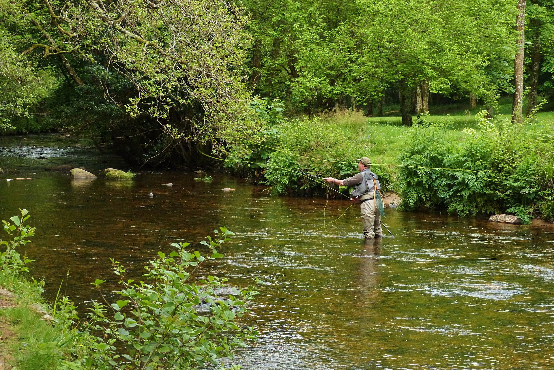 Fly fishing on the River Teign at Fingle Bridge   geograph.org.uk   5421605