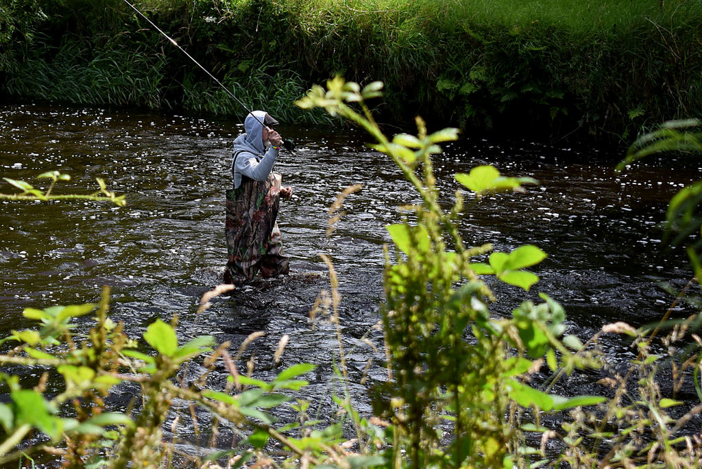 Fly fishing in the Camowen River   geograph.org.uk   6552101