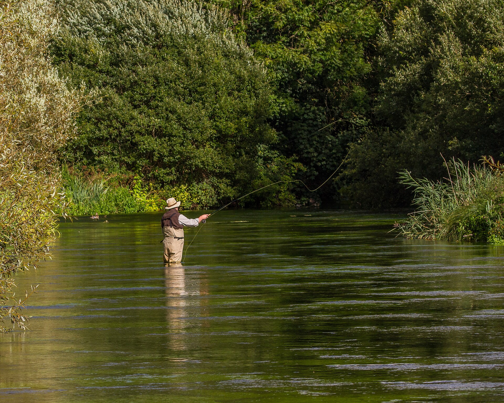 Fly Fishing on The River Itchen (19238200845)