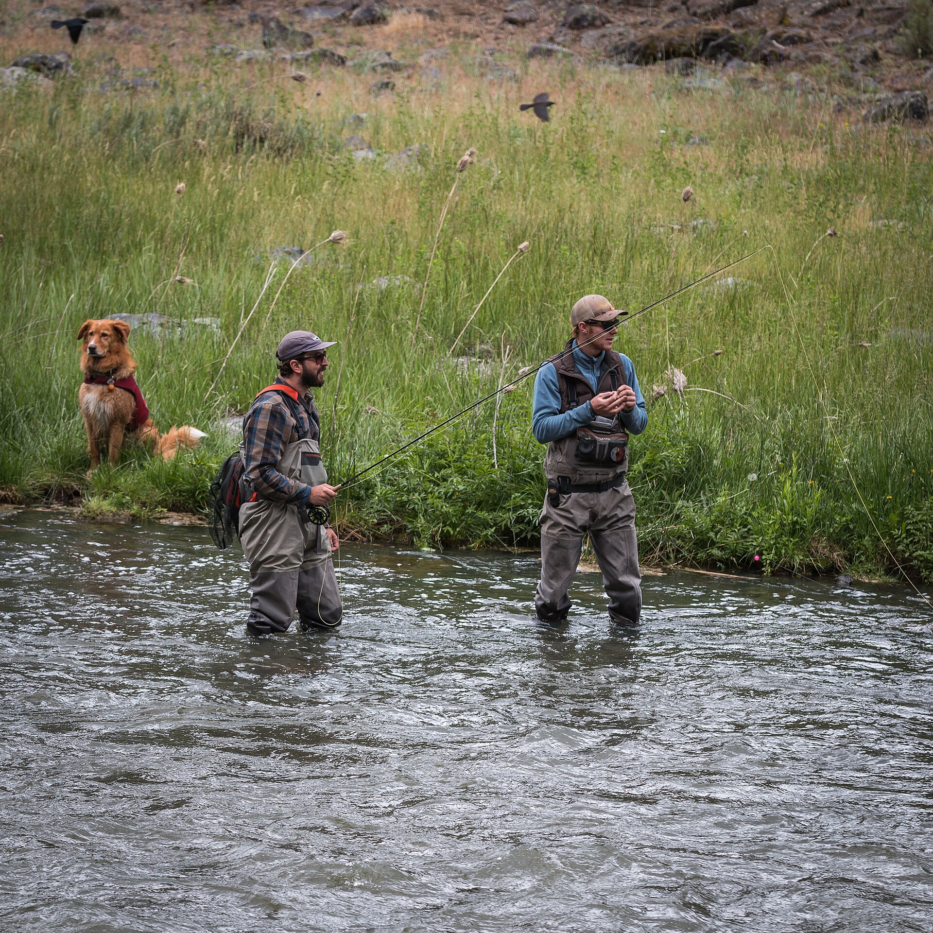 Fly fishing on the Crooked Wild and Scenic River (36283883712)