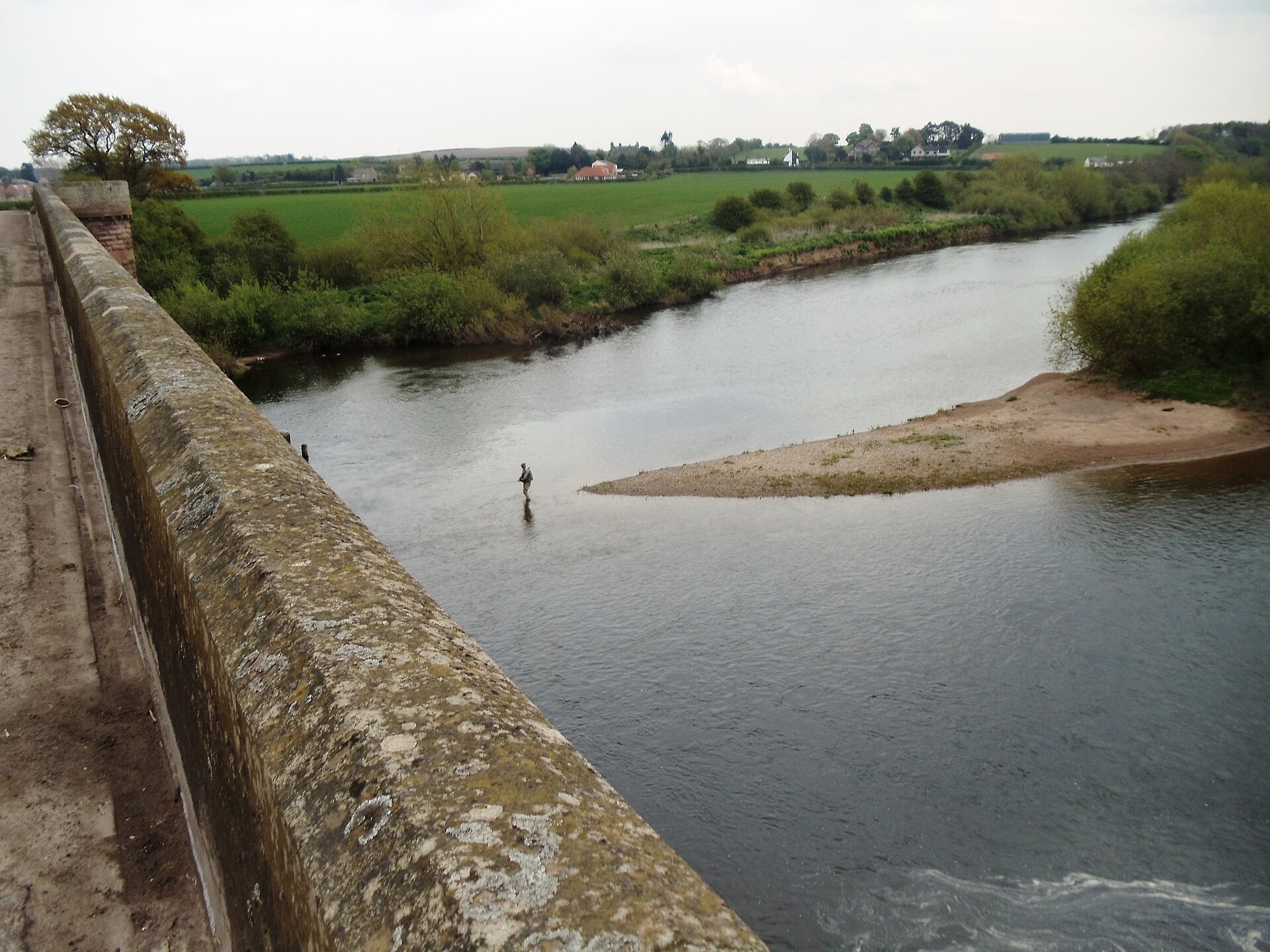 Fly Fisherman in the River Tweed   geograph.org.uk   2934686