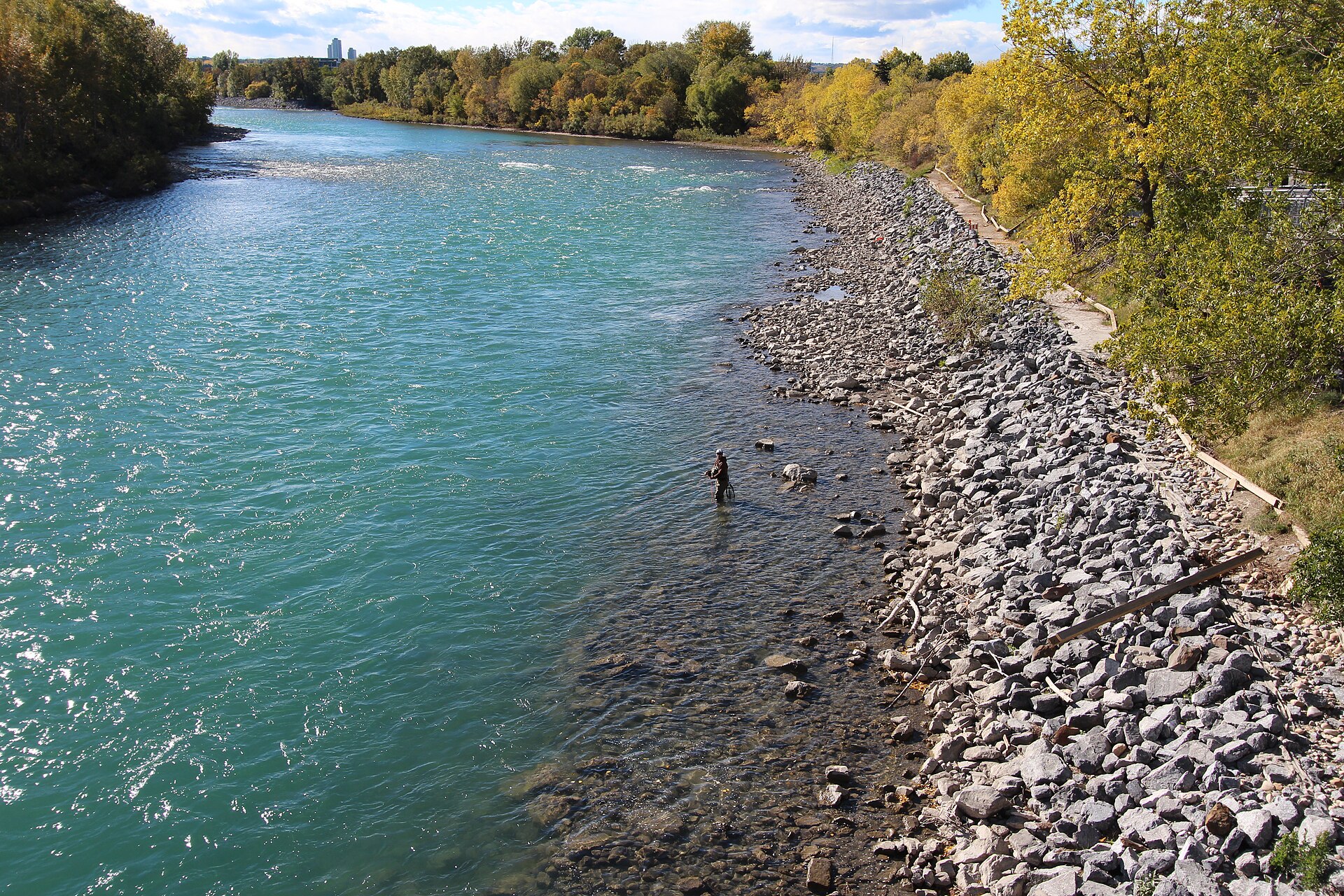 Fly fishing on the Bow river Calgary (10011523196)