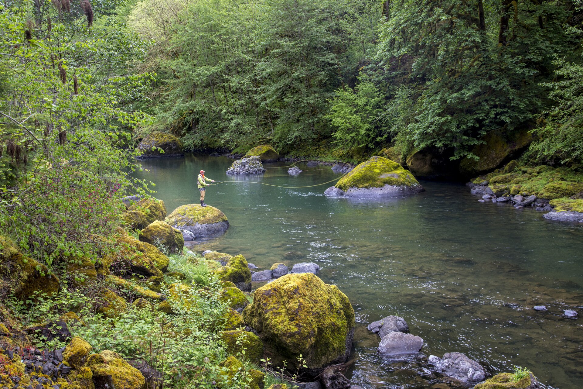 Fly fishing on the Molalla River (17906853462)