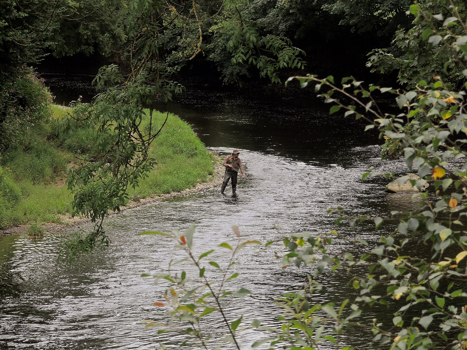 Fly fishing in the River Torridge   geograph.org.uk   5087358