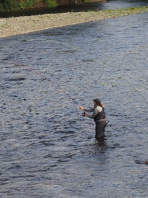 Fly fishing in the River Tweed   geograph.org.uk   6609631