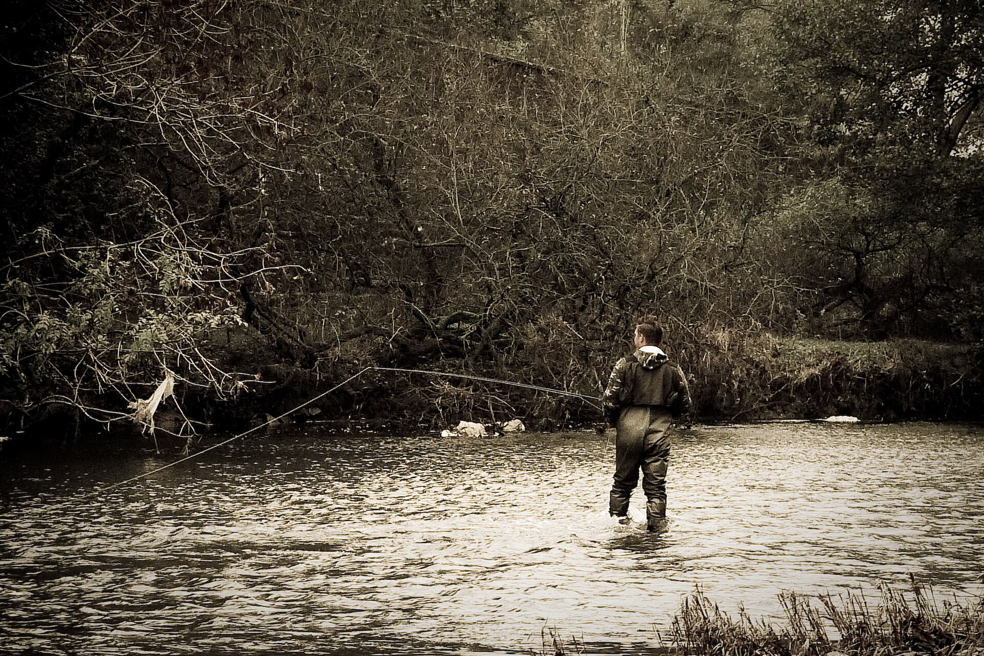 Fly Fishing on the River Severn (3039831732)