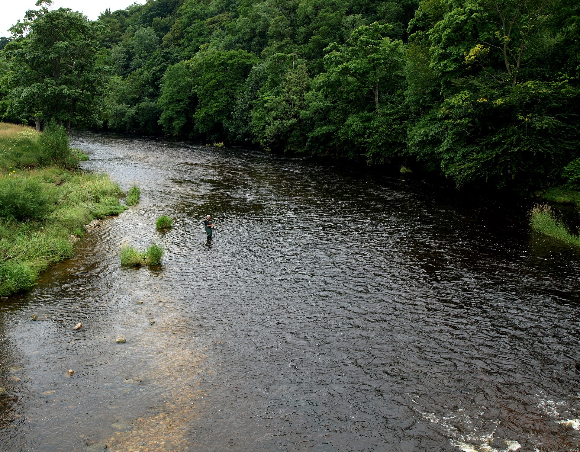 Fly Fishing in the River Wharfe   geograph.org.uk   3579381